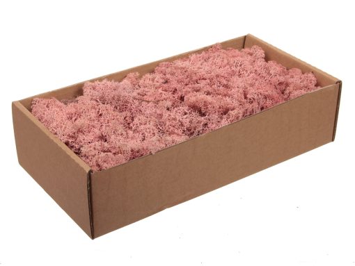 pink finland mos til dekorationer, vægge og stilleben til billig pris