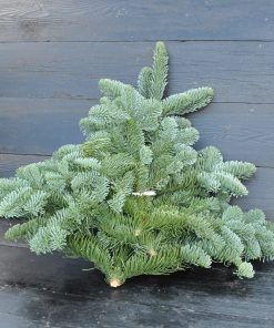 bundt med 1 kg. nobilis dekorationsgran