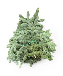 bundt med 3 kg. nobilis gran til afdækning