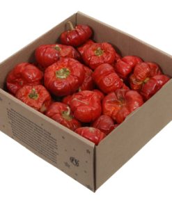 250 gram små tørrede naturlige mini græskar