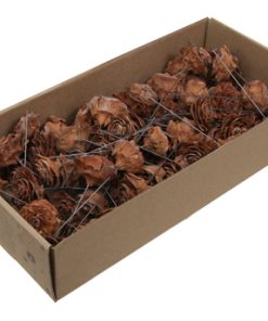 70 styk natur brune cedar rose kogler med wire
