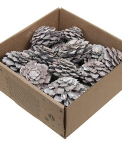 Naturdekoration - 23 Stück Zapfen, die wie Blumen geschnitten sind, ca. Ø 6 cm, weiß