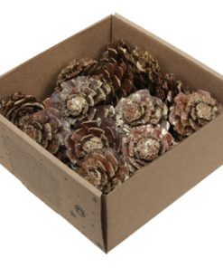 23 styk guldvaskede kogler skåret som blomster med diameter på 6 centimeter