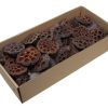 40 styk naturligt brune lotus 5 - 7 centimeter