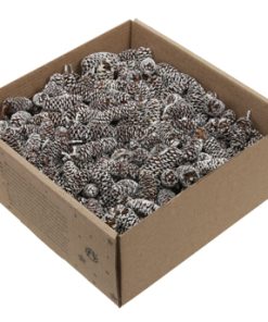 250 gram kogler fra birk med hvide spidser