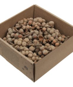 440 gram naturfarvede agern på små grene