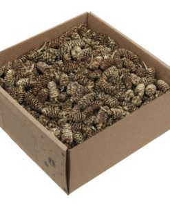 250 gram guldfarvede kogler fra birk