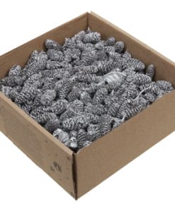 250 gram sølvfarvede kogler fra birk