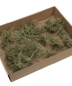 Naturdekoration - 20 Stück getrocknete buschige Zweige, grün gefärbt