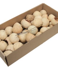 Natur dekorasjon - 35 stk. bell cup på wire Ø 4 -5 cm. NATURLIG FARGE