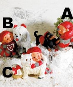 babynisse  fra pobra med lille hund