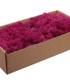 fuchsia farvet finland mos til dekorationer, vægge og stilleben til billig pris