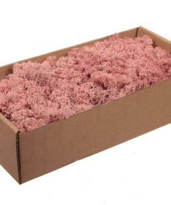 pink finland mos til dekorationer, vægge og stilleben til billig pris