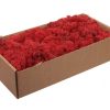 Finnland Moos, ROT, natürliche Rentierflechte für Weihnachtsdekorationen. 1 Kiste à 500 g.
