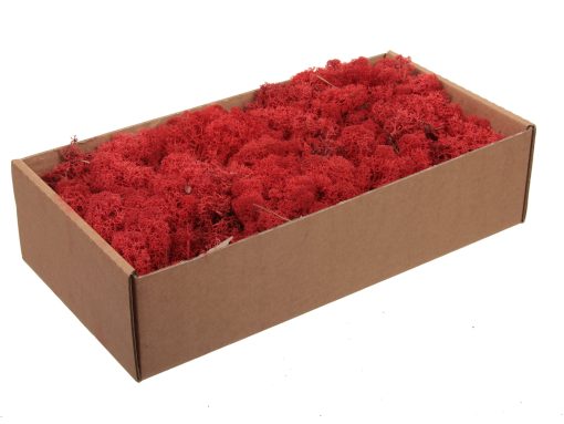 Finnland Moos, ROT, natürliche Rentierflechte für Weihnachtsdekorationen. 1 Kiste à 500 g.