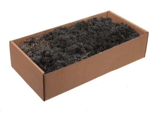Finnisches Moos, SCHWARZ, natürliche Rentierflechte für Weihnachtsdekorationen. 1 Kiste à 500 g.