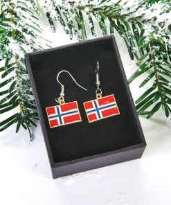 øreringe med det norske flag i metal som gaven til piger