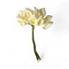 Künstliche cremefarbene Calla auf grünem Draht. 16 cm. Bdt. 6 Stk. – auch für den Außenbereich