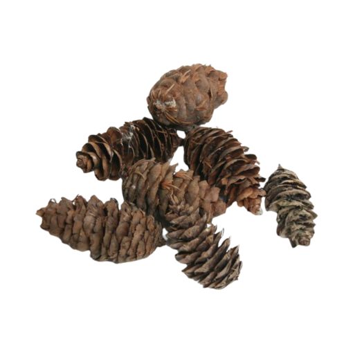 Grankongler, Douglas kongler, natur brun, 5 kg. i sekk