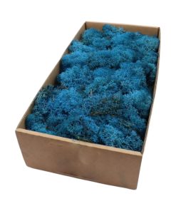 500 gram BLÅ rensdyrmos