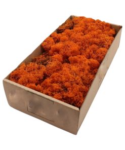 500 gram ORANGE rensdyrmos