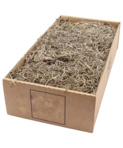 350 gram Tillandsia mos - spansk mos . Flotte plantetråde til dekoration.