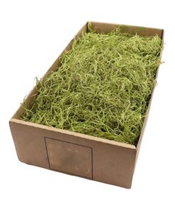 350 gram Tillandsia mos, spansk mos i farven grøn. Smukke plantetråde til dekoration.