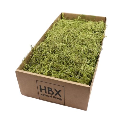 Tillandsia mose (spansk mose), grønn, 350 gram