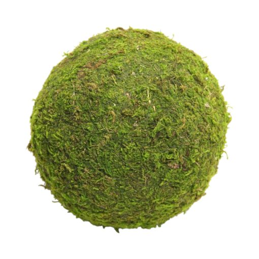 Mos kule, tørket natur mos, grønn, Ø15 cm