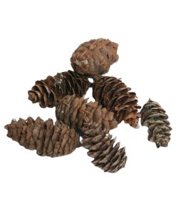 Grankogler, Douglas kogler, natur brun, 5 kg. i sæk