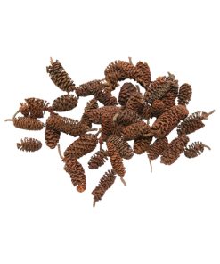 Kogler fra birk, brun natur dekoration, 300 gram