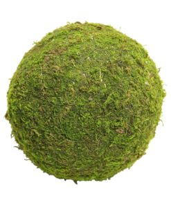 Mos kugle, tørret natur mos, grøn, Ø15 cm