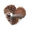 12-15 centimeter store pinecone kogler naturel i net med 3 styk