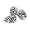 12-15 centimeter store pinecone kogler hvide i net med 3 styk