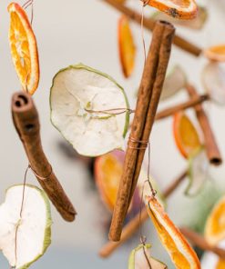juledekoration med appelsin- og æbleskiver hængt på tråd med kanelstænger