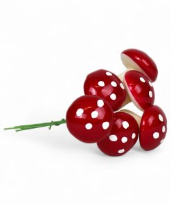 bundt med 6 røde fluesvampe på 4 centimeter