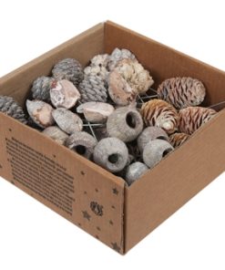 50 styk tørrede hvide deko-ting på wire til juledekorationer