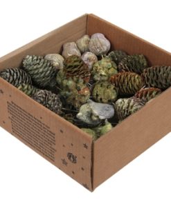 50 styk tørrede grønne deko-ting på wire til juledekorationer