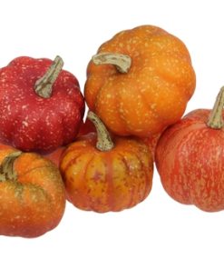 12 smukke orange og røde græskar til halloween