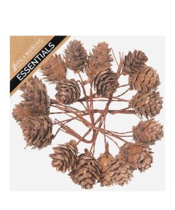 35 styk små naturelle lærkekogler på 16 centimeter wire