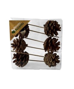 6 styk 5 centimeter naturelle fyrkogler på træpind