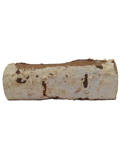 birketræstamme der måler 28 x 8 x 9 centimeter udvendig og 23 x 6 x 5 centimeter indvendig