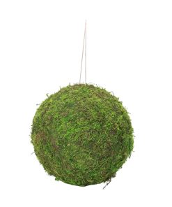 20 centimeter stor grøn naturlig moskugle til dekorationer