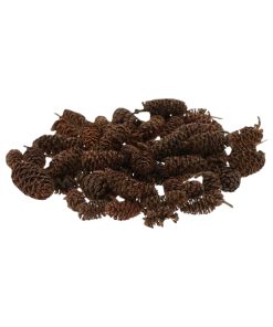 pose med cirka 30 gram natur brune små aflange birkekogler