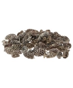 pose med cirka 30 gram hvide små aflange birkekogler