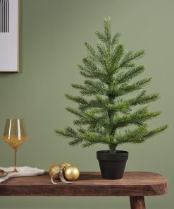 Grandis juletræ i potte på bord