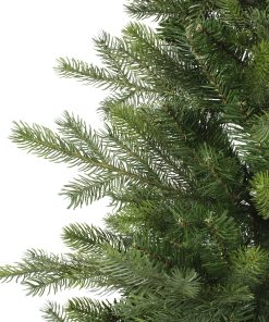 Grandis juletræ i potte nærbillede